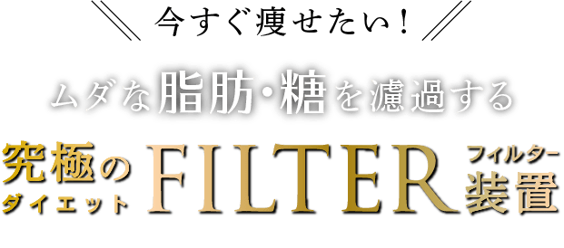 今すぐ痩せたい！ムダな脂肪・糖を濾過する 究極のダイエットフィルター装置 DIET FILTER